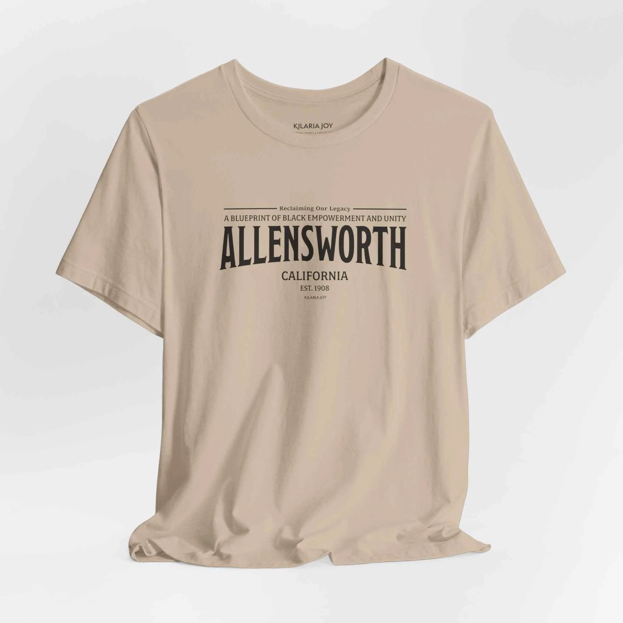 Allensworth Men's Classic Modern Fit T-Shirt